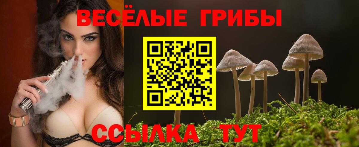 Псилоцибиновые грибы MAGIC MUSHROOMS Коммунар